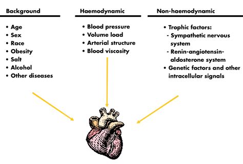 causes of hyperdynamic left ventricle.